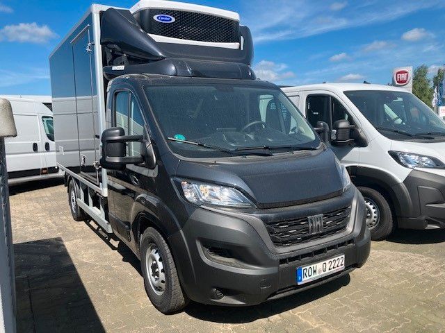 Fiat Ducato 35 Maxi Kühlkoffer 180 MJT AT - Transporter oder LKW bis 7,5 t - Kühlkoffer